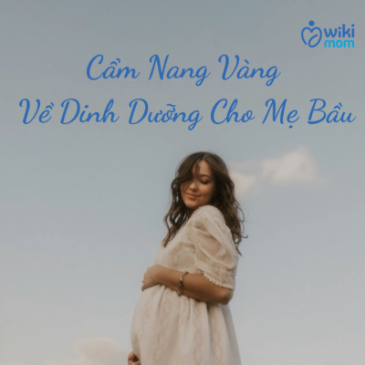 Cẩm Nang Vàng Về Dinh Dưỡng Cho Mẹ Bầu