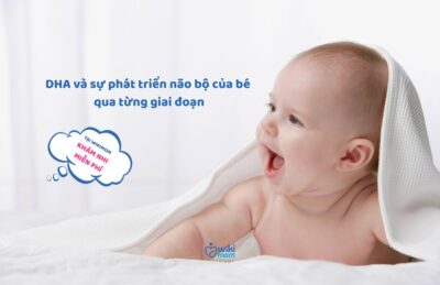 DHA và 3 “Giai Đoạn Vàng” Phát Triển Não Bộ Của Bé: Mẹ Bổ Sung Thế Nào Là Đủ?