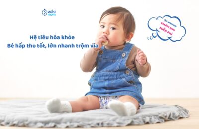 Hệ Tiêu Hóa Khỏe – Nền Tảng Vàng Giúp Bé Hấp Thụ Tốt, Lớn Nhanh Và Ít Ốm Vặt