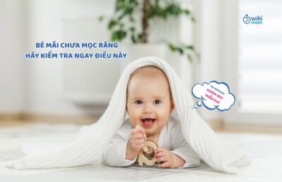 Bé Mãi Chưa Mọc Răng? Mẹ Đừng Chỉ Đợi, Hãy Kiểm Tra Ngay “Bộ Tứ Dinh Dưỡng” Này Để Con Mọc Răng Đúng Chuẩn!