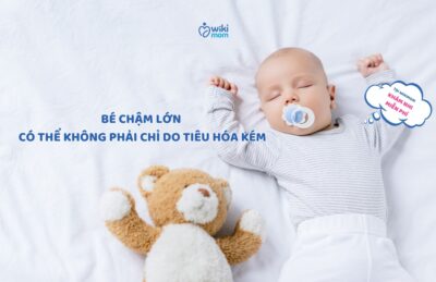 🍽️ Bé Biếng Ăn, Còi Cọc – Không Chỉ Do Tiêu Hóa Kém, Mà Còn Là Dấu Hiệu Cảnh Báo Thiếu Canxi!