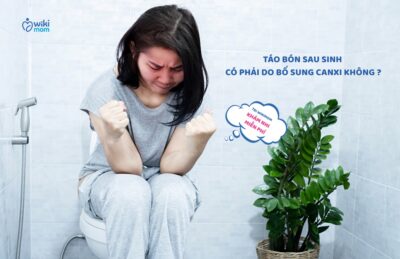 🚽 Táo Bón Sau Sinh Có Phải Do Bổ Sung Canxi? Giải Oan Cho Canxi Hữu Cơ Và Lời Khuyên Giúp Mẹ “Dễ Thở” Hơn